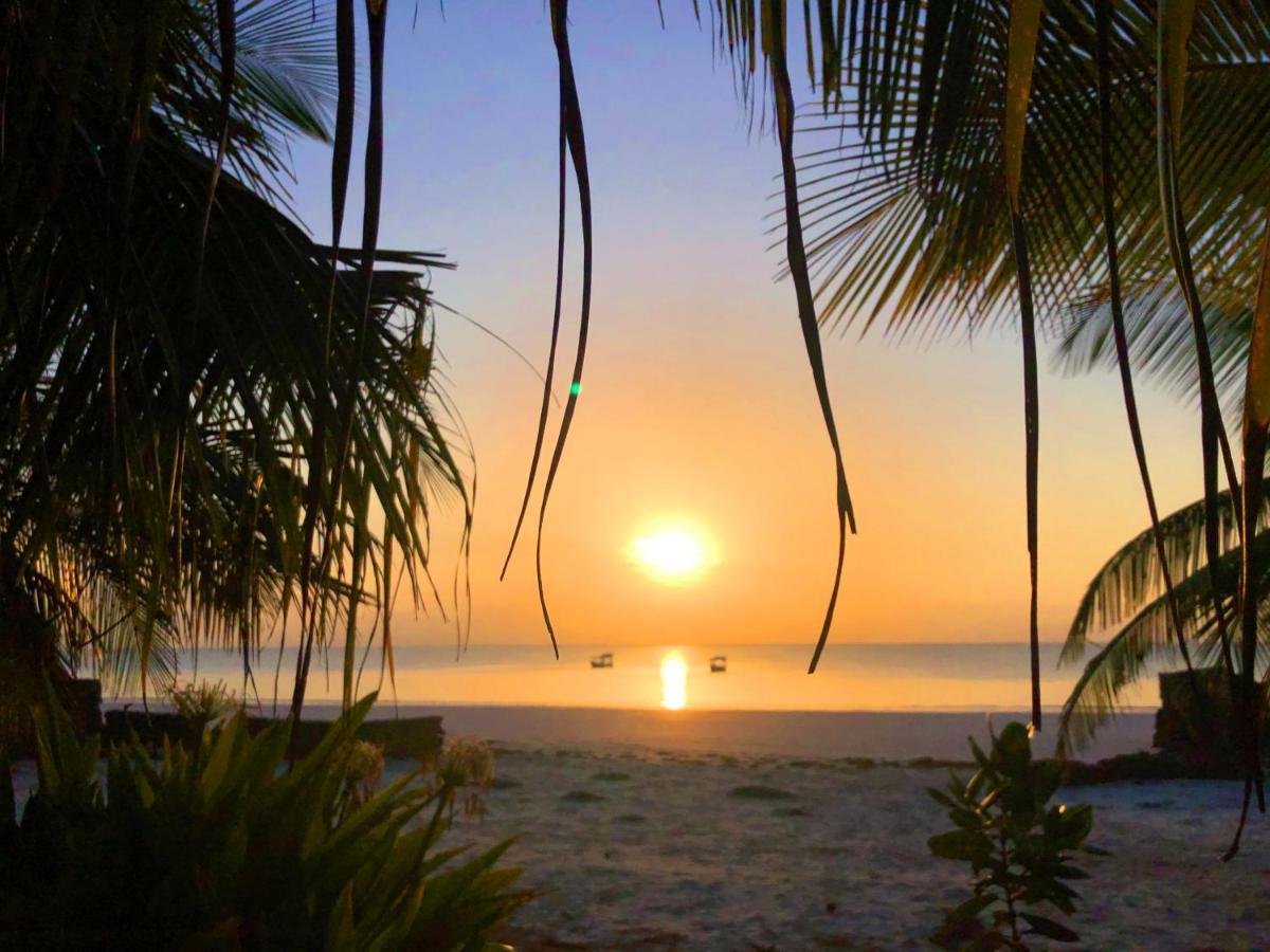 Coconut Village Beach Resort เดียนีบีช ภายนอก รูปภาพ